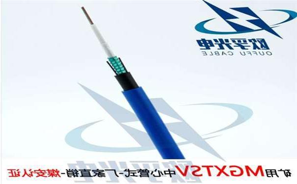 潍坊市欧孚MGXTSV-8B1 矿用单模阻燃光缆G652D纤芯煤安证书